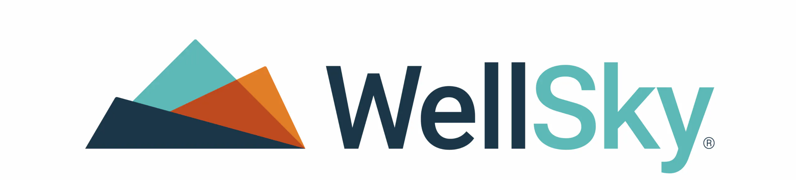 WellSky