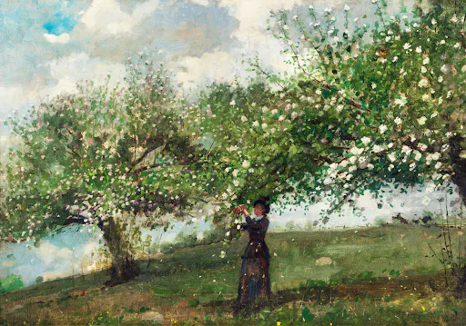 Girl Picking Apple Blossoms (1879) by Winslow Homer.
