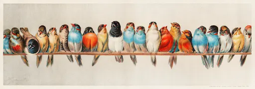 A Perch of Birds by Hector Giacomelli.