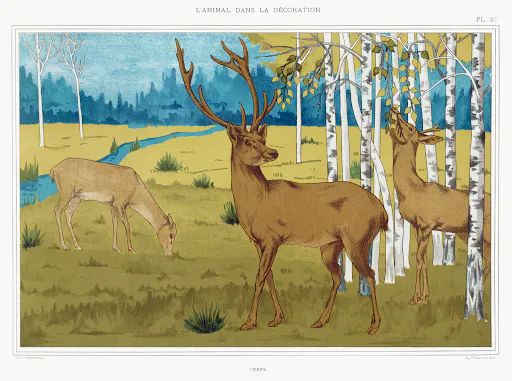 Cerfs from L’animal dans la décoration (1897) by Maurice Pillard Verneuil.