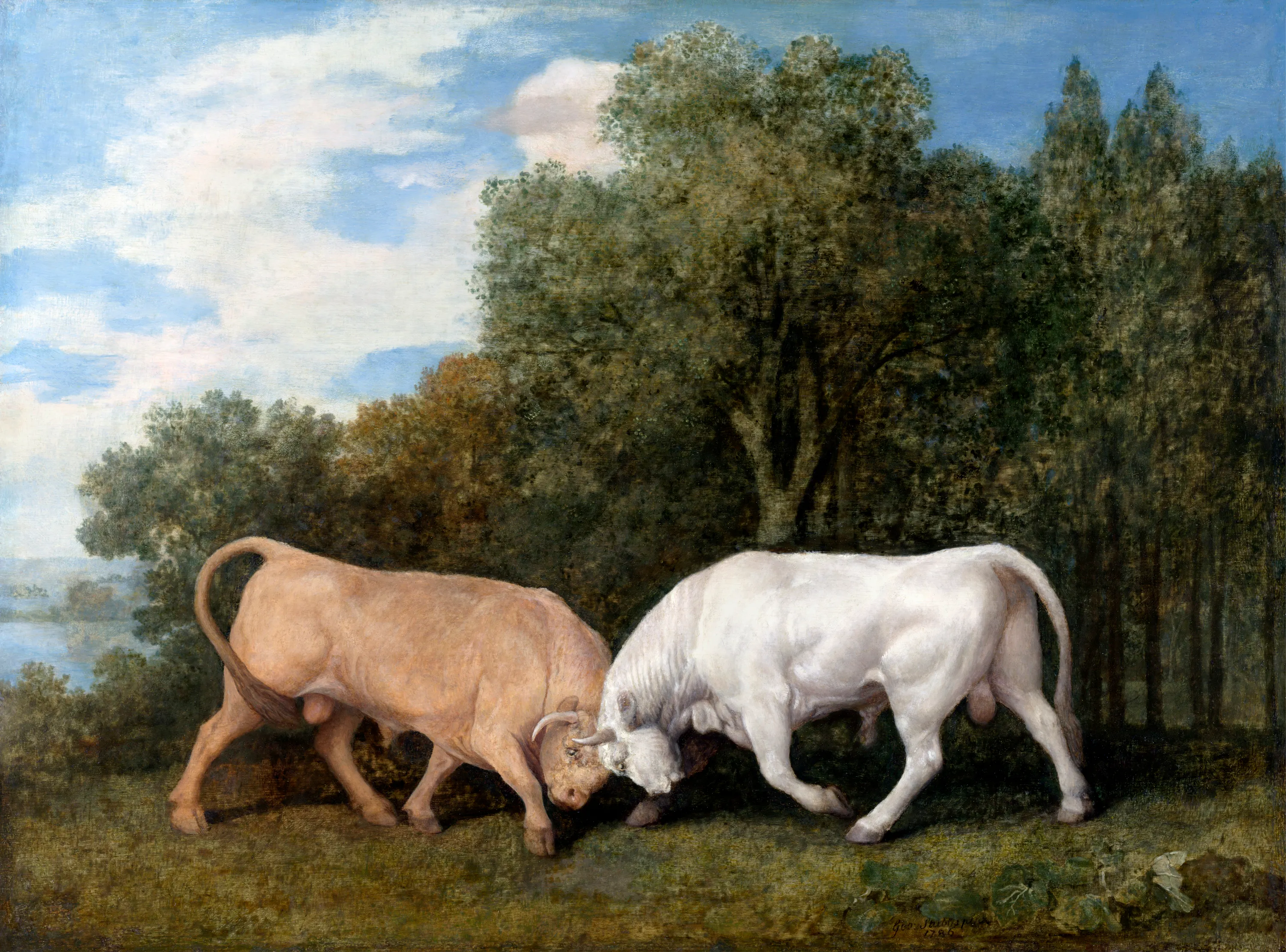 Bulls Fighting (1786) by George Stubbs.