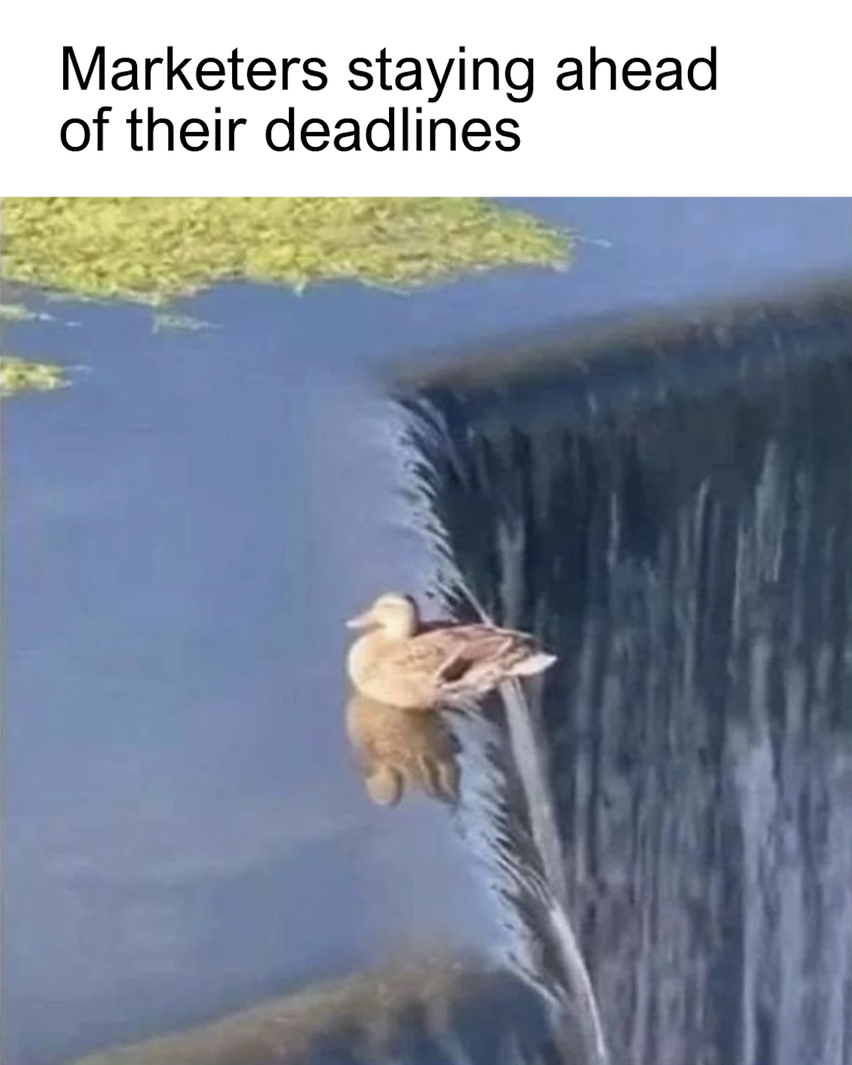 TMM memes (1080 x 1350 px) (1).png