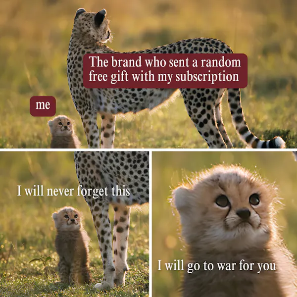 ari_instagram_visuals__35__720.png